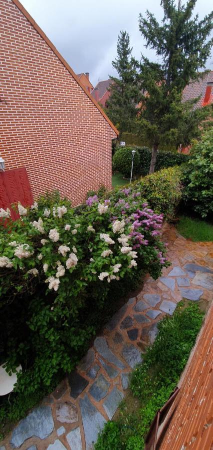 Casa Cercedilla Montana Esqui别墅 外观 照片