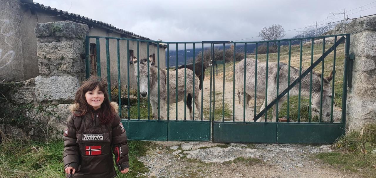 Casa Cercedilla Montana Esqui别墅 外观 照片